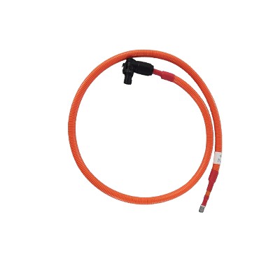 ��ذ��������������