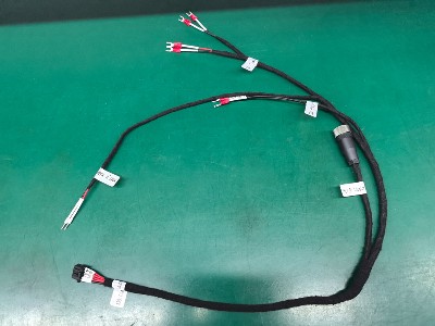 ��ذ��ɼ���